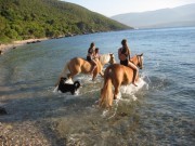 Horse Riding tours