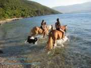 Horse Riding tours
